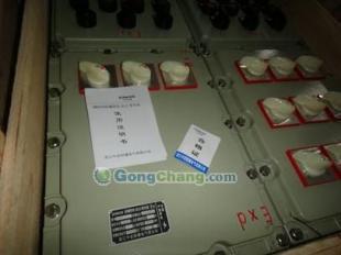 BXMDG58防爆照明動力配電箱 能源領域的安全守護者